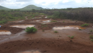 Fig 2: Semi Circular bands are known to control water flow, allow water retention and holds seeds for rapid germination. Photo Credit: Nalepo Pasture Group.