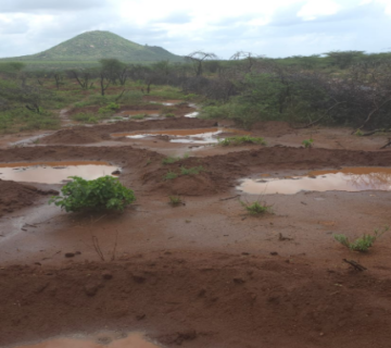 Fig 2: Semi Circular bands are known to control water flow, allow water retention and holds seeds for rapid germination. Photo Credit: Nalepo Pasture Group.